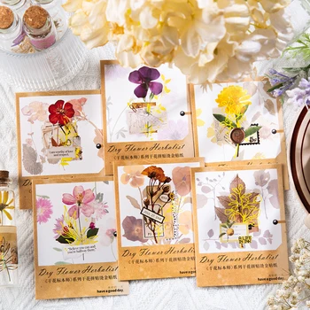 6 packs / LOT Kuru çiçek herbalist serisi sevimli güzel yaratıcı dekorasyon DIY PET çıkartmalar