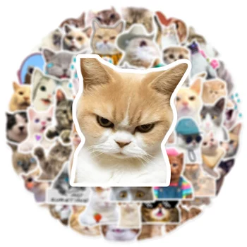 10/30/50 adet Kedi Kitty Komik Meme Çıkartmalar Kawaii Çocuklar Graffiti Sticker Scrapbooking Gitar Telefon Kırtasiye Dekoratif Çıkartması Oyuncak