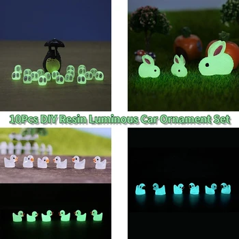 10 Adet DIY Reçine Aydınlık Araba Süsleme JDM Karanlık Tavşan Ördek Siyah Briket Bahçe Peri Dekorasyon Mikro Peyzaj