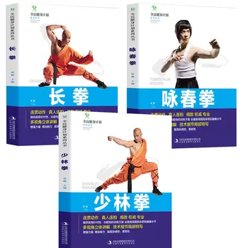 Shaolin Kitabı Shaolin Wing Chun Boks Wing Chun Boks Chang Quan Öğrenme Yöntemleri Ve Öğreticiler Boks Yöntemleri