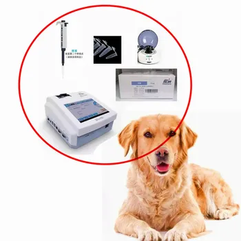 Hayvan Köpek Wondfo Finecare 2 Artı Taşınabilir Kimya Analizörü + Kan Santrifüj + Pipet + Progesteron Testleri Test Kiti