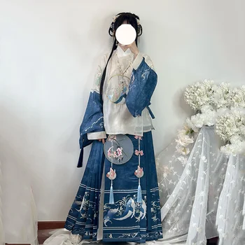 Ming Hanedanı Elbise İşlemeli Pipa At Yüz Etek Orijinal Ölümsüz Charm Hanfu Günlük Sonbahar Elbise Kadınlar İçin