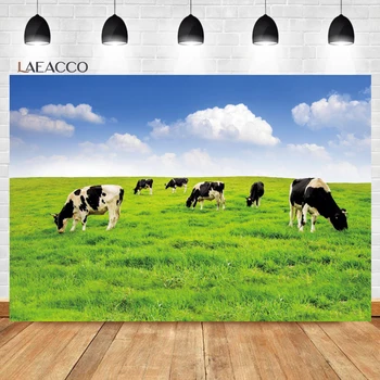 Laeacco Otlak Mera İnekler Fotoğraf Backdrop Çiftlik Çayır Sürü Otlatma Yeşil Çim Alan Yetişkin Çocuk Portre Arka Plan