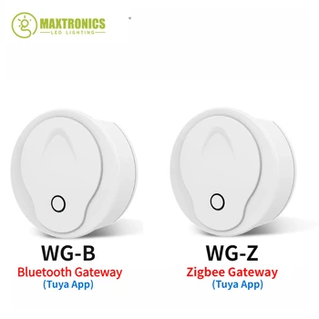 Yeni WG-B / Z kablosuz Wifi bluetooth veya ZigBee Ağ Geçidi Tuya Akıllı Yaşam App İle Maç 1-5 Renk Sabit Voltaj LED Denetleyici