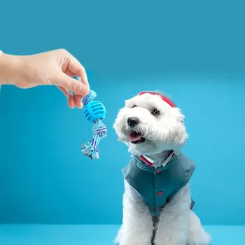 Bite Dayanıklı Komik Köpek Atmak Oyuncaklar İnteraktif Köpek Açık Oyun Köpek Malzemeleri Çiğnemek Eğitim Oyuncak Evcil hayvan aksesuarları Köpek Çiğnemek Oyuncak